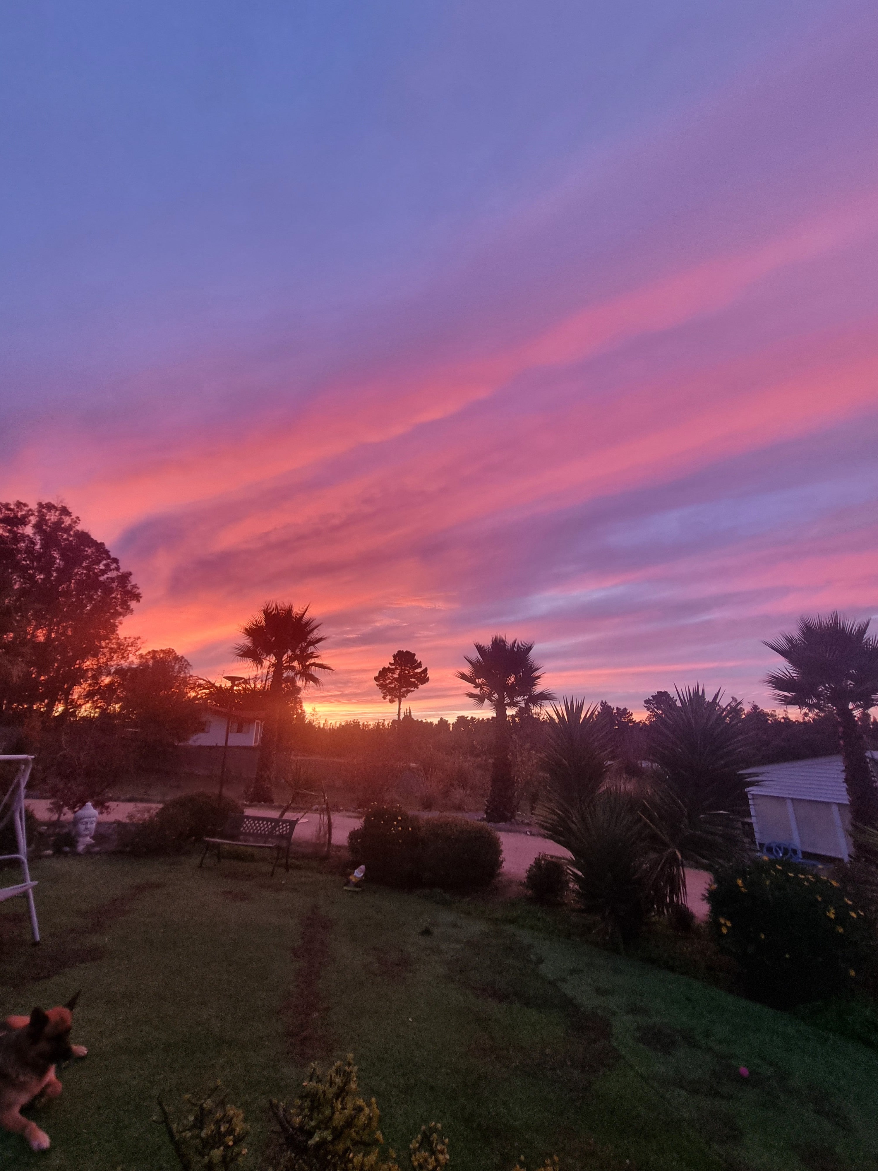 ✨ Cabañas Boutique en Algarrobo