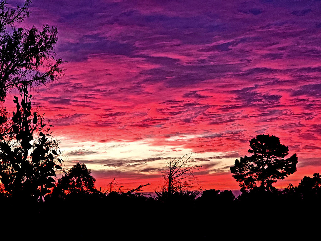 ✨ Cabañas Boutique en Algarrobo