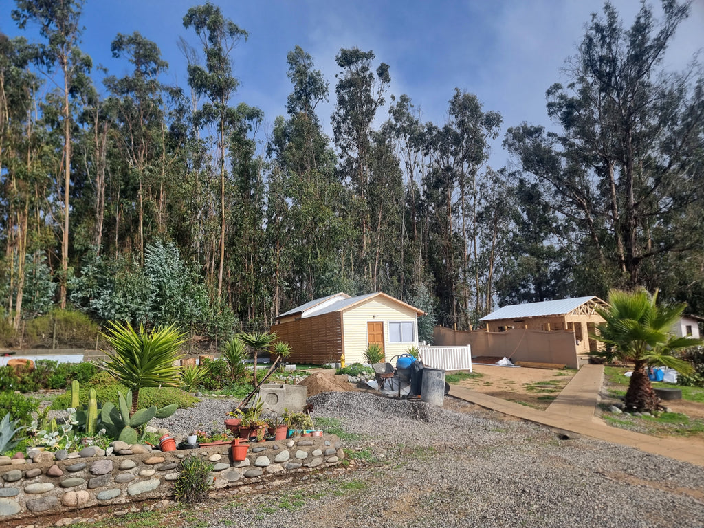 ✨ Cabañas Boutique en Algarrobo