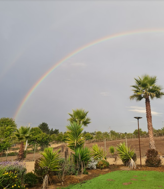 ✨ Cabañas Boutique en Algarrobo