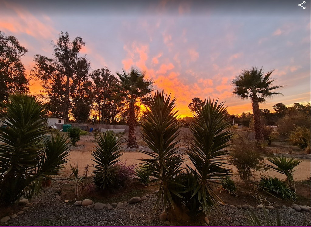 ✨ Cabañas Boutique en Algarrobo